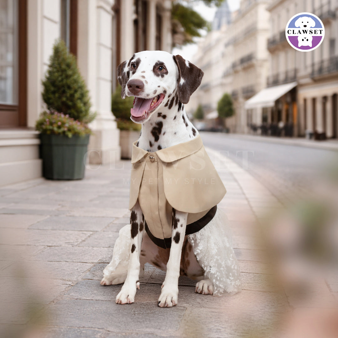 Clawset - European Pet Cape Dress - Brown