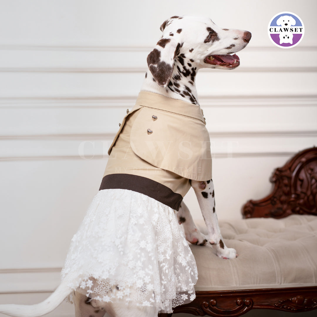 Clawset - European Pet Cape Dress - Brown