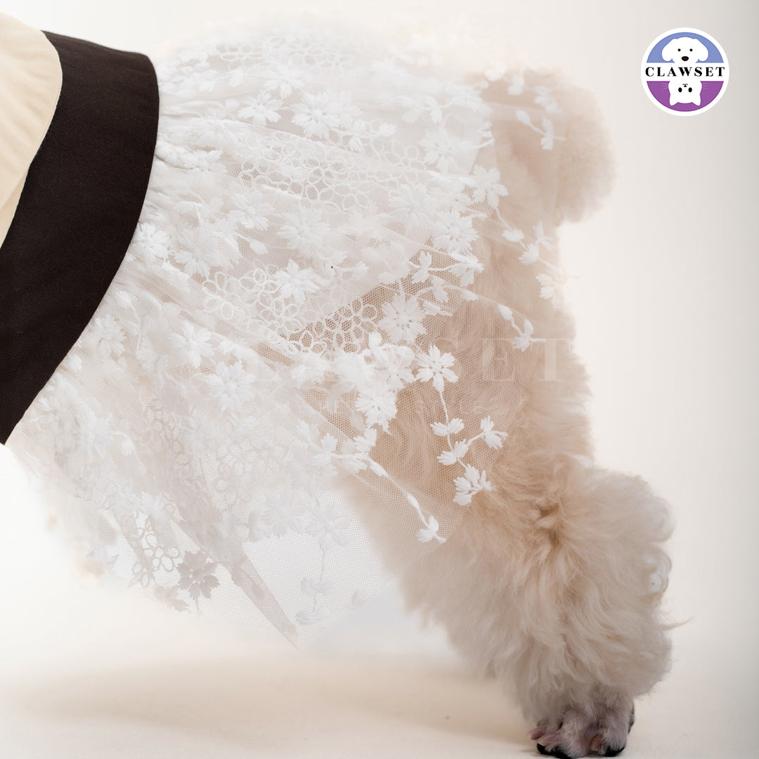 Clawset - European Pet Cape Dress - Brown