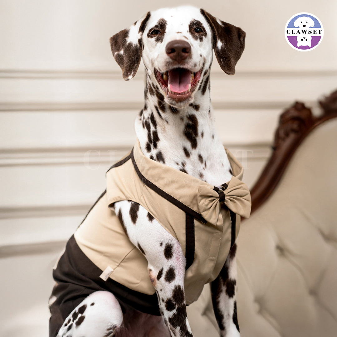 Clawset - European Pet Shirt - Brown