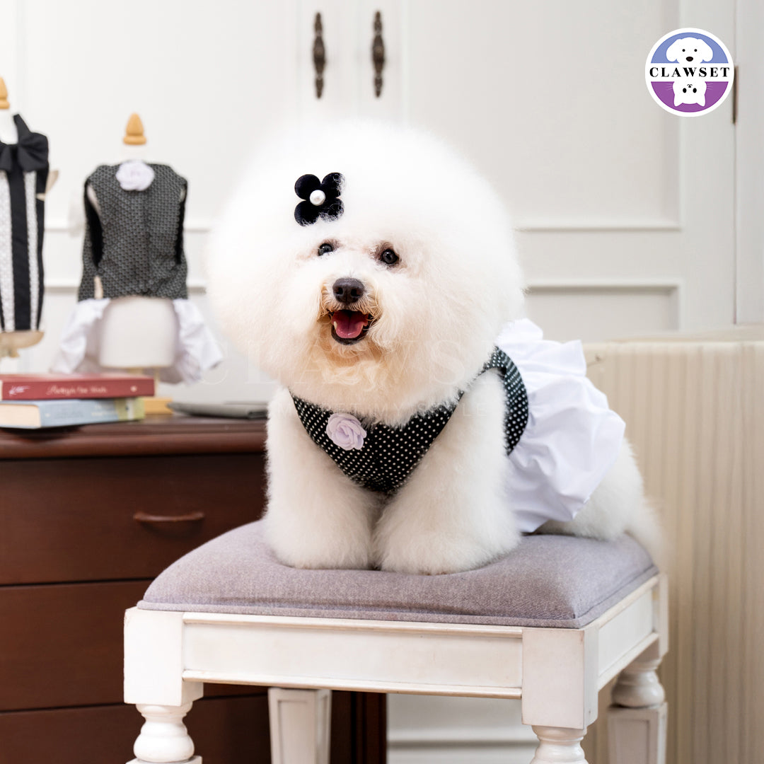 Clawset - Polkadot Pet Dress - Black