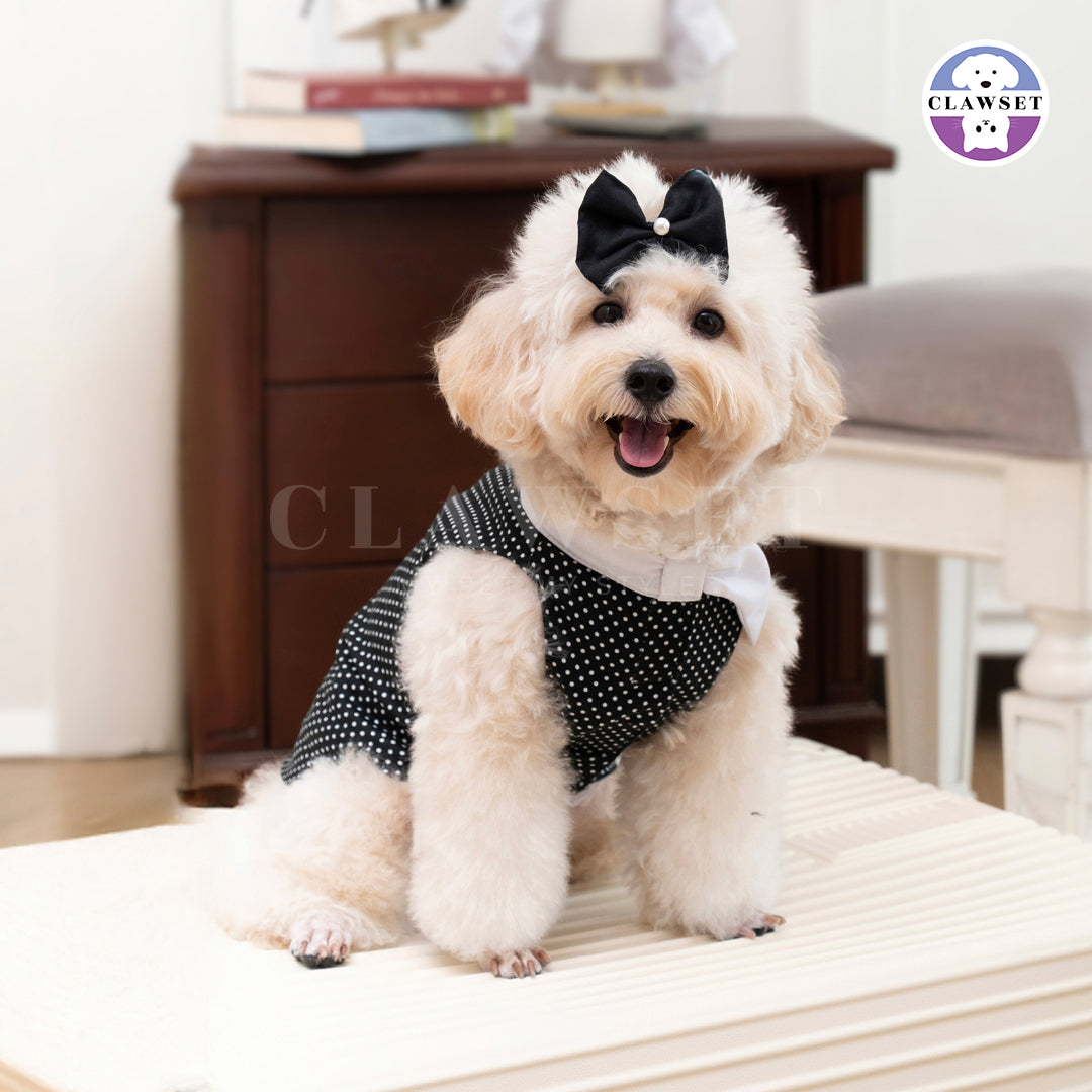 Clawset - Polkadot Pet Shirt - Black