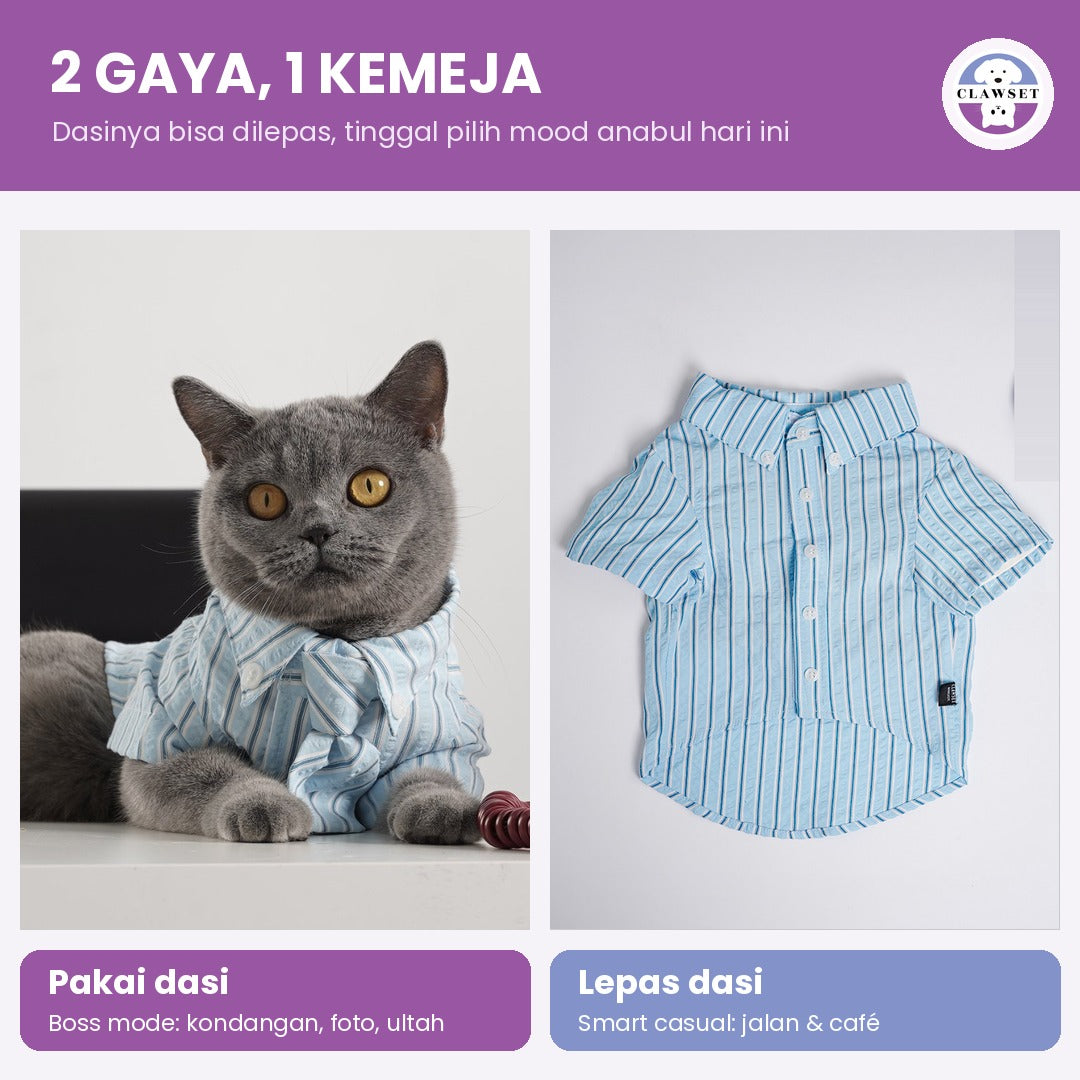 Kemeja Anjing & Kucing Mini Boss – Biru