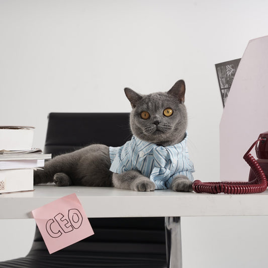 Kemeja Anjing & Kucing Mini Boss – Biru