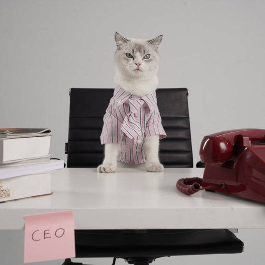 Kemeja Anjing & Kucing Mini Boss – Pink