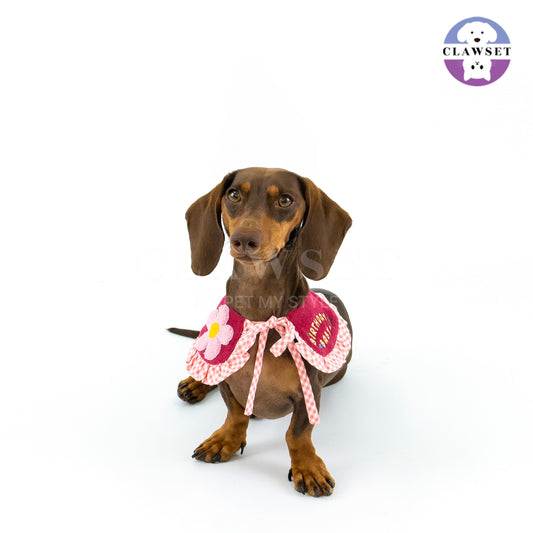 Clawset - Pet Accessories - Birthday Collar - Pink