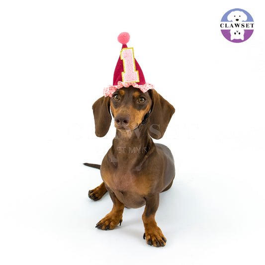 Clawset - Pet Accessories - Birthday Hat (Topi Ulang Tahun) - Pink