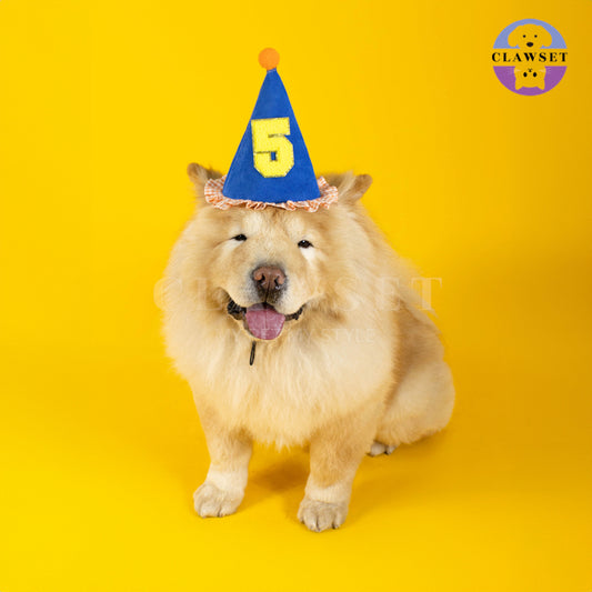 Clawset - Pet Accessories - Birthday Hat (Topi Ulang Tahun) - Blue (Biru)