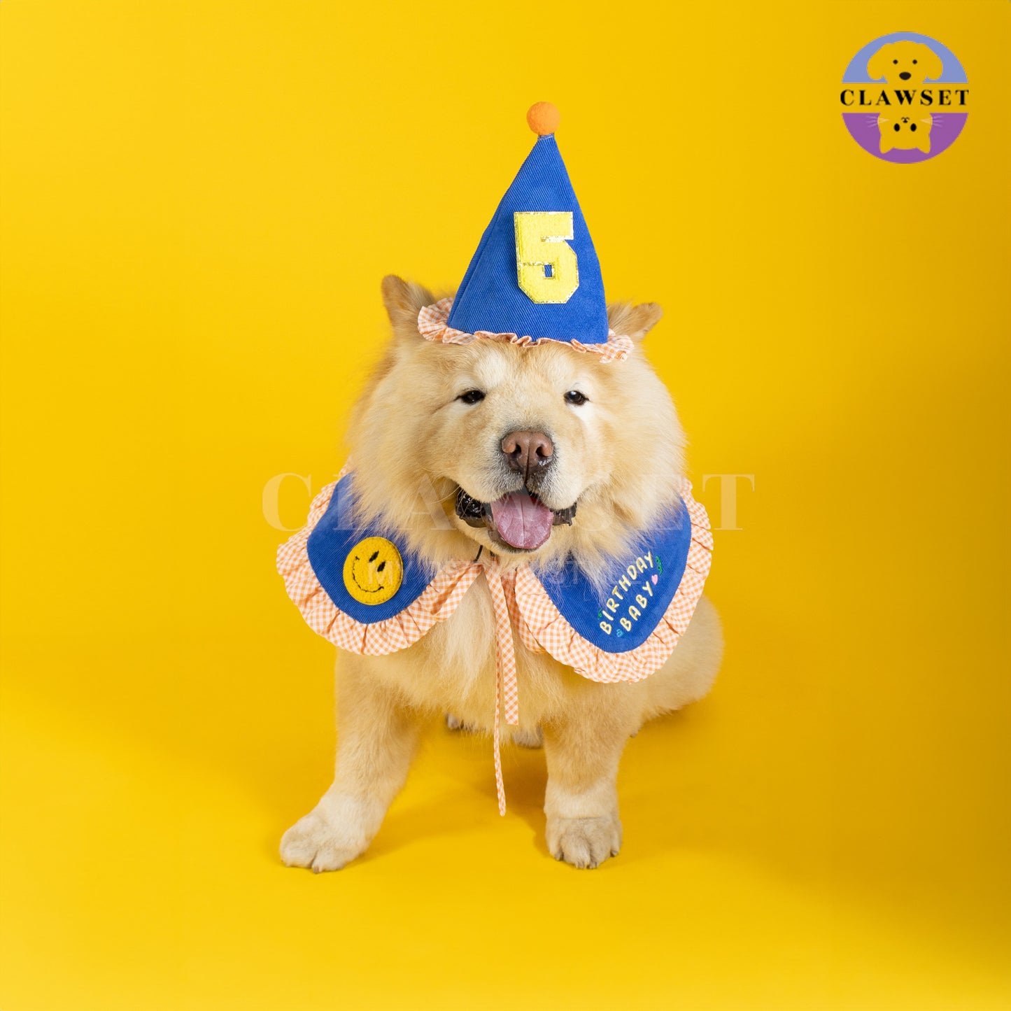 Clawset - Pet Accessories - Birthday Collar - Blue (Biru)