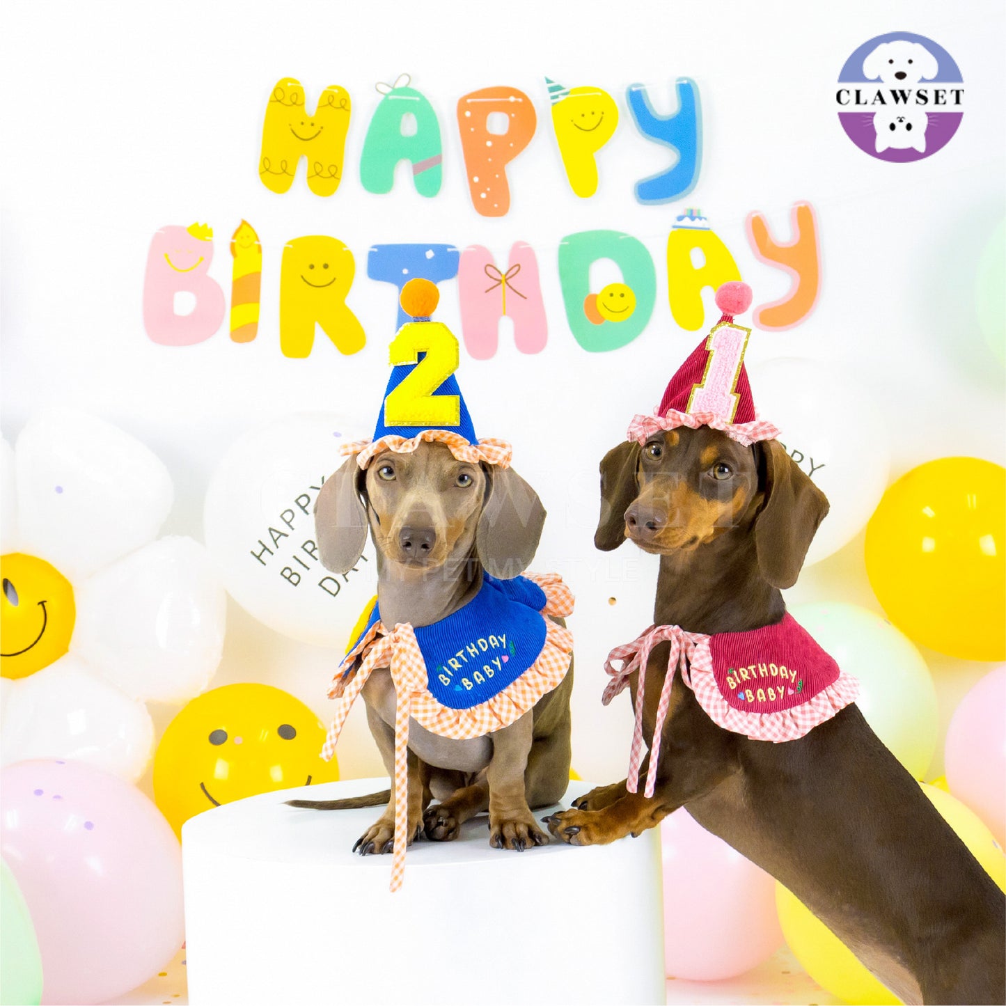 Clawset - Pet Accessories - Birthday Hat (Topi Ulang Tahun) - Blue (Biru)