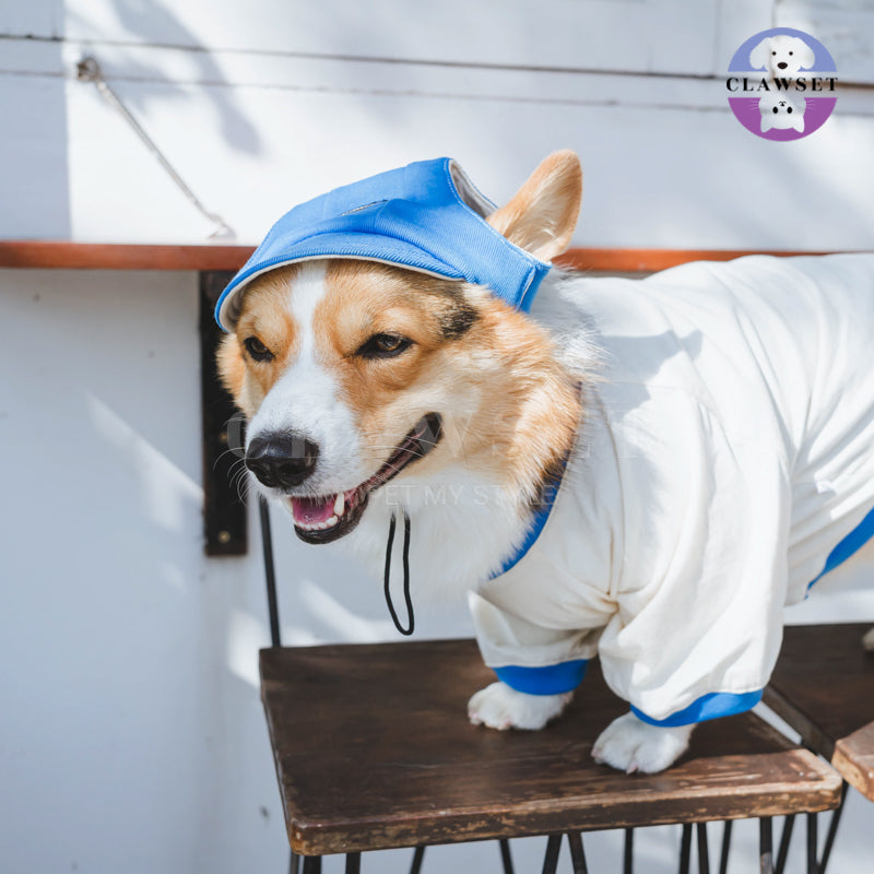 Clawset - Pet Accessories - Cool Kid (Topi Hewan Peliharaan) - Blue (Biru)