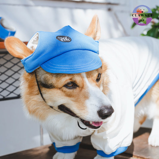Clawset - Pet Accessories - Cool Kid (Topi Hewan Peliharaan) - Blue (Biru)