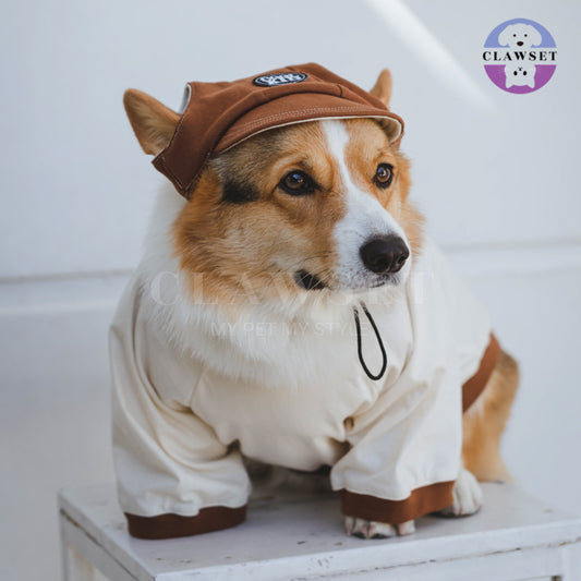 Clawset - Pet Accessories - Cool Kid (Topi Hewan Peliharaan) - Brown (Coklat)