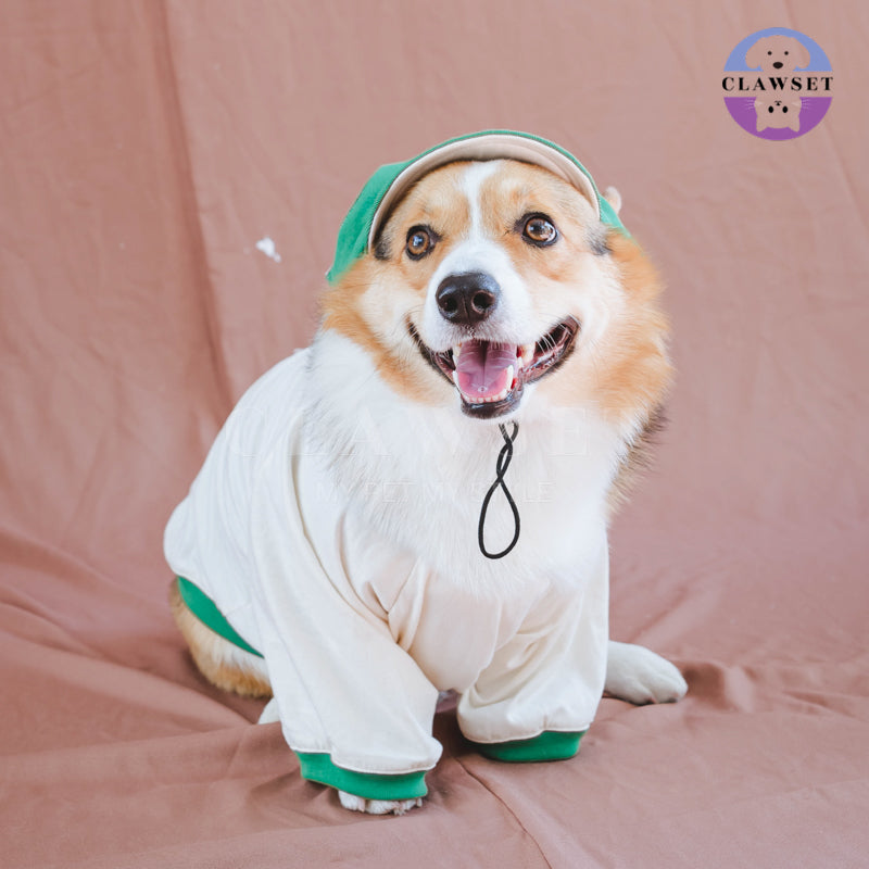 Clawset - Pet Accessories - Cool Kid (Topi Hewan Peliharaan) - Green (Hijau)