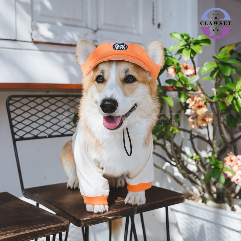 Clawset - Pet Accessories - Cool Kid (Topi Hewan Peliharaan) - Salmon (Orange)