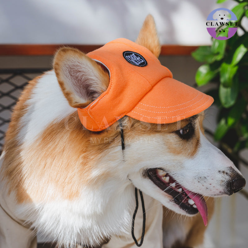 Clawset - Pet Accessories - Cool Kid (Topi Hewan Peliharaan) - Salmon (Orange)