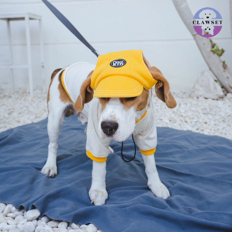 Clawset - Pet Accessories - Cool Kid (Topi Hewan Peliharaan) - Yellow (Kuning)