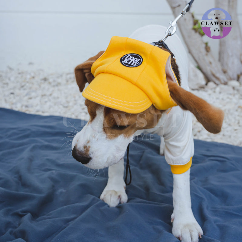 Clawset - Pet Accessories - Cool Kid (Topi Hewan Peliharaan) - Yellow (Kuning)