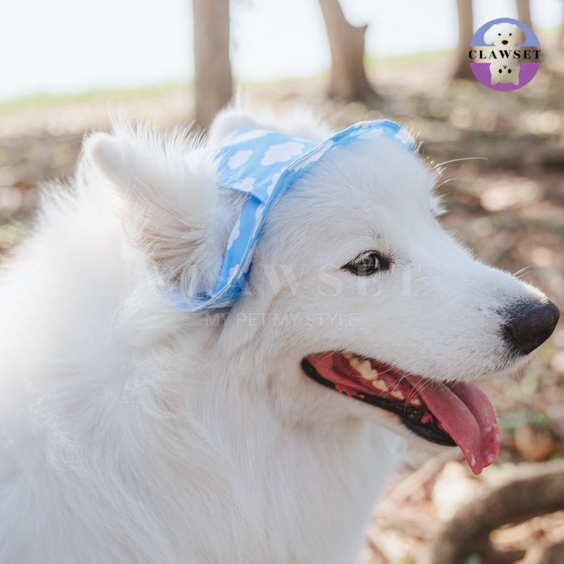 Clawset - Pet Accessories - Bucket Hat (Topi) Sky & Cloud - Blue (Biru)