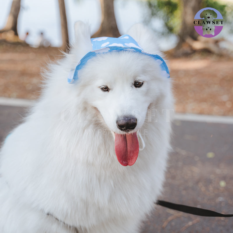 Clawset - Pet Accessories - Bucket Hat (Topi) Sky & Cloud - Blue (Biru)