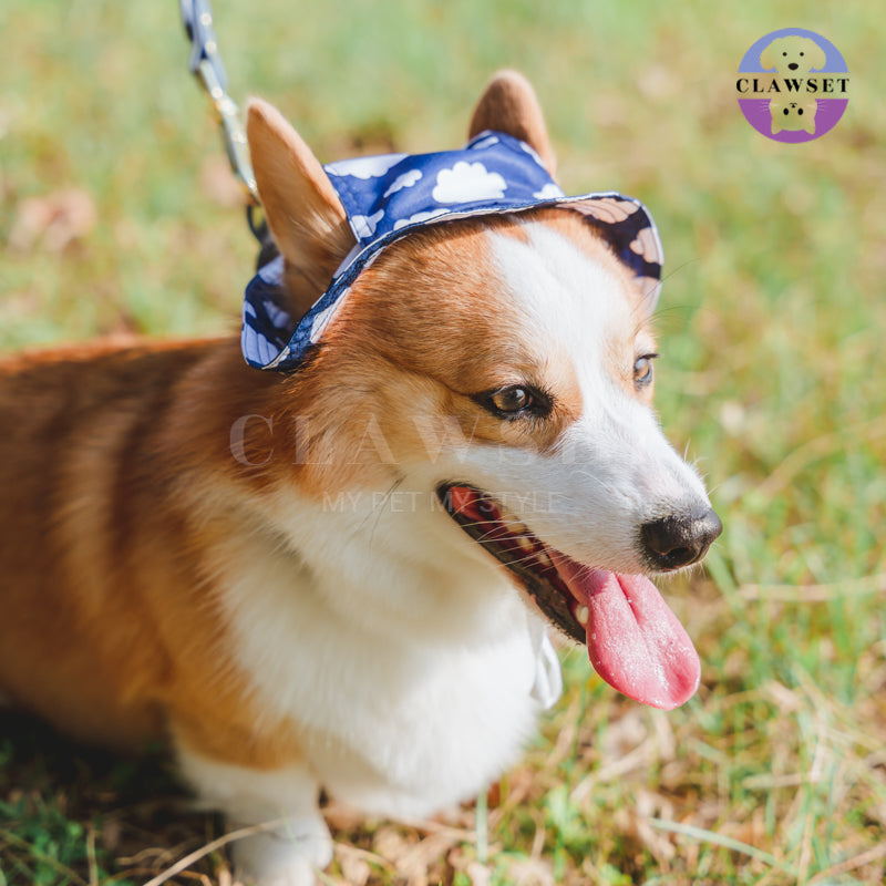 Clawset - Pet Accessories - Bucket Hat (Topi) Sky & Cloud - Navy Blue (Biru Navy)