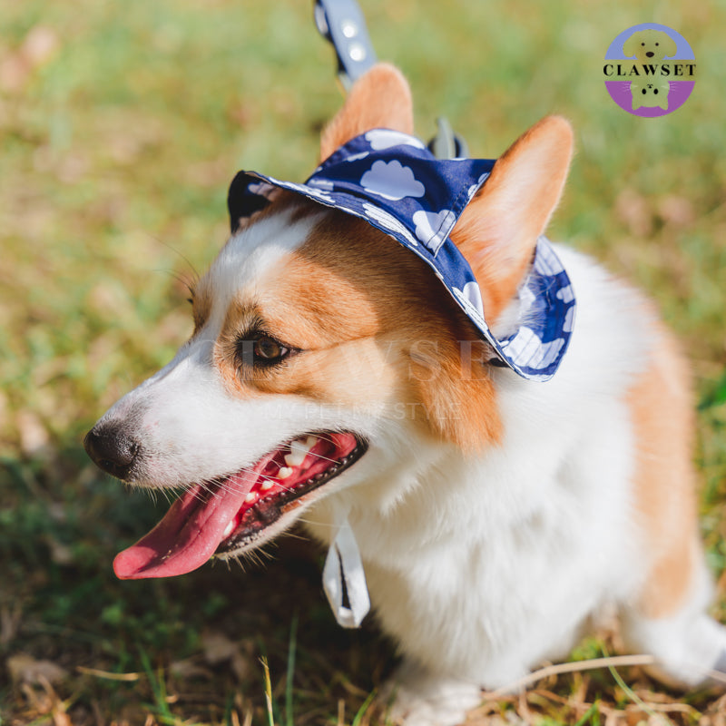 Clawset - Pet Accessories - Bucket Hat (Topi) Sky & Cloud - Navy Blue (Biru Navy)