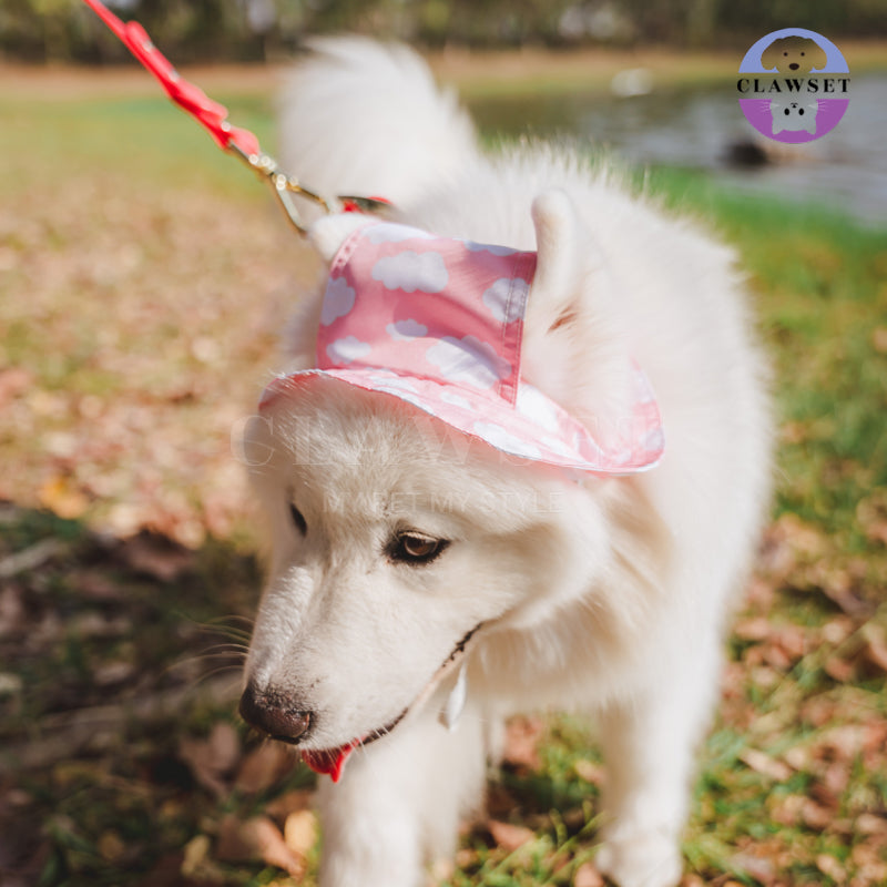 Clawset - Pet Accessories - Bucket Hat (Topi) Sky & Cloud - Soft Pink