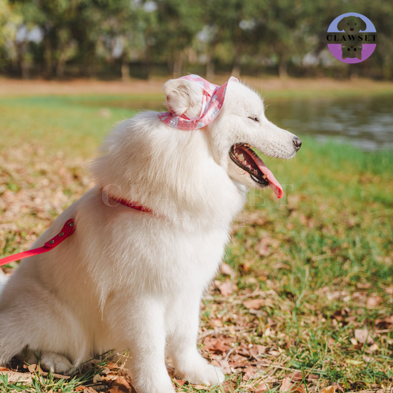 Clawset - Pet Accessories - Bucket Hat (Topi) Sky & Cloud - Soft Pink