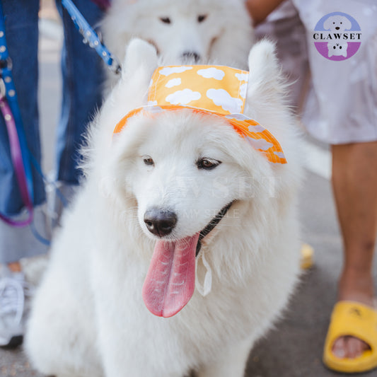 Clawset - Pet Accessories - Bucket Hat (Topi) Sky & Cloud - Yellow (Kuning)