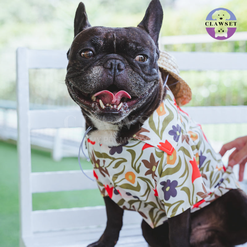 Clawset - Pet Fashion - Hawaii Happy Paradise - Cream