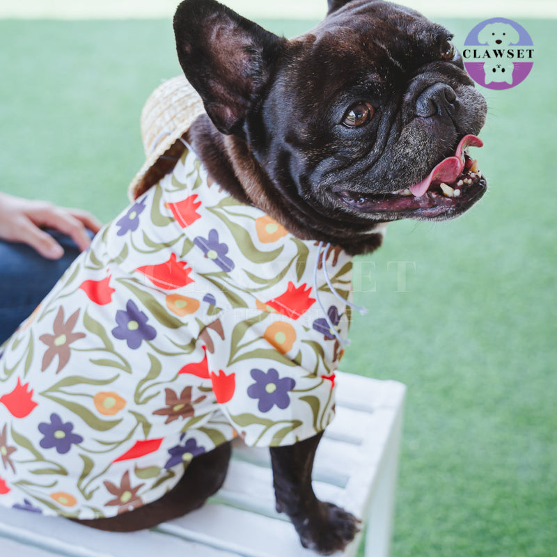 Clawset - Pet Fashion - Hawaii Happy Paradise - Cream