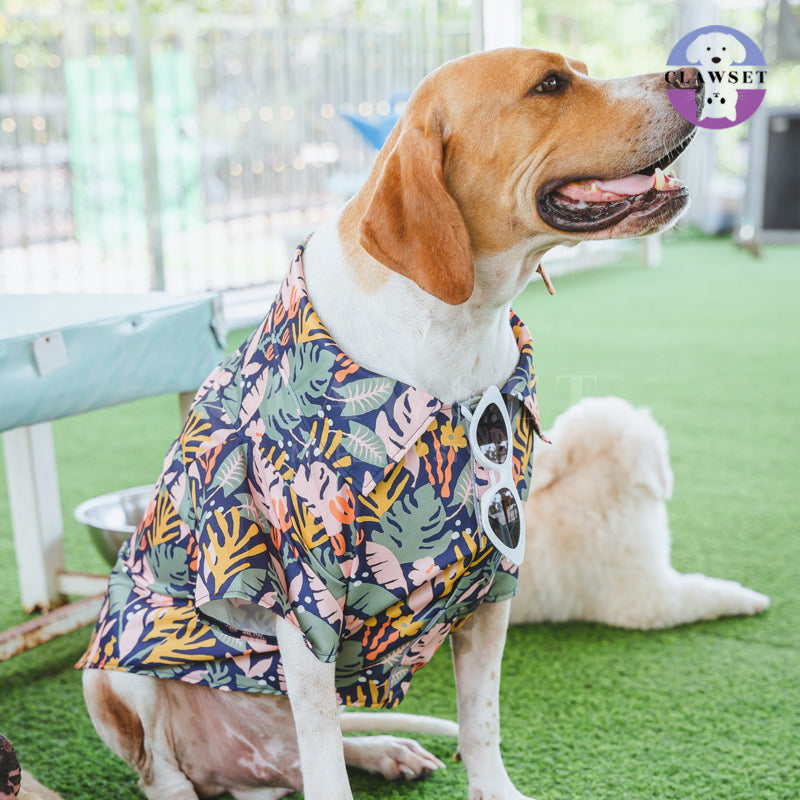 Clawset - Pet Fashion - Hawaii Happy Paradise - Navy Blue