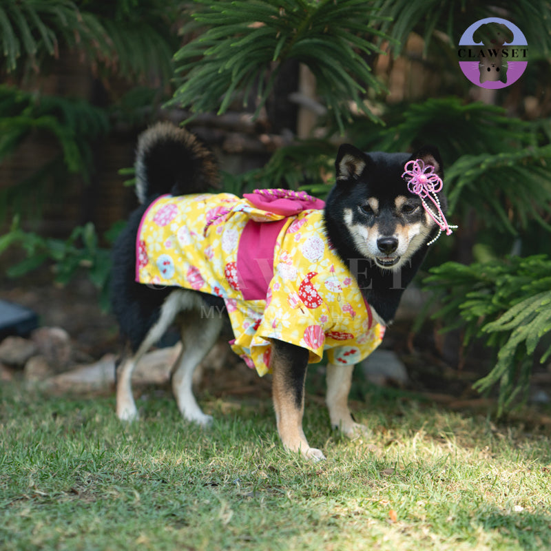Clawset - Pet Fashion - Kimono Inusama Collection - Natsu Yellow (Kuning)