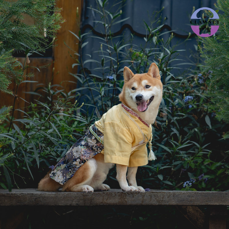 Clawset - Pet Fashion - Yukata Inusama Collection - Kiku Yellow (Kuning)