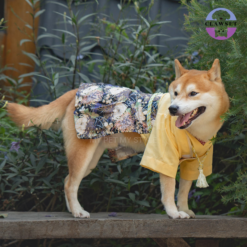Clawset - Pet Fashion - Yukata Inusama Collection - Kiku Yellow (Kuning)