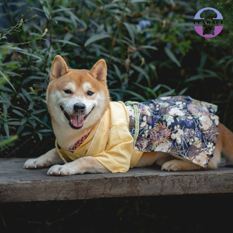 Clawset - Pet Fashion - Yukata Inusama Collection - Kiku Yellow (Kuning)
