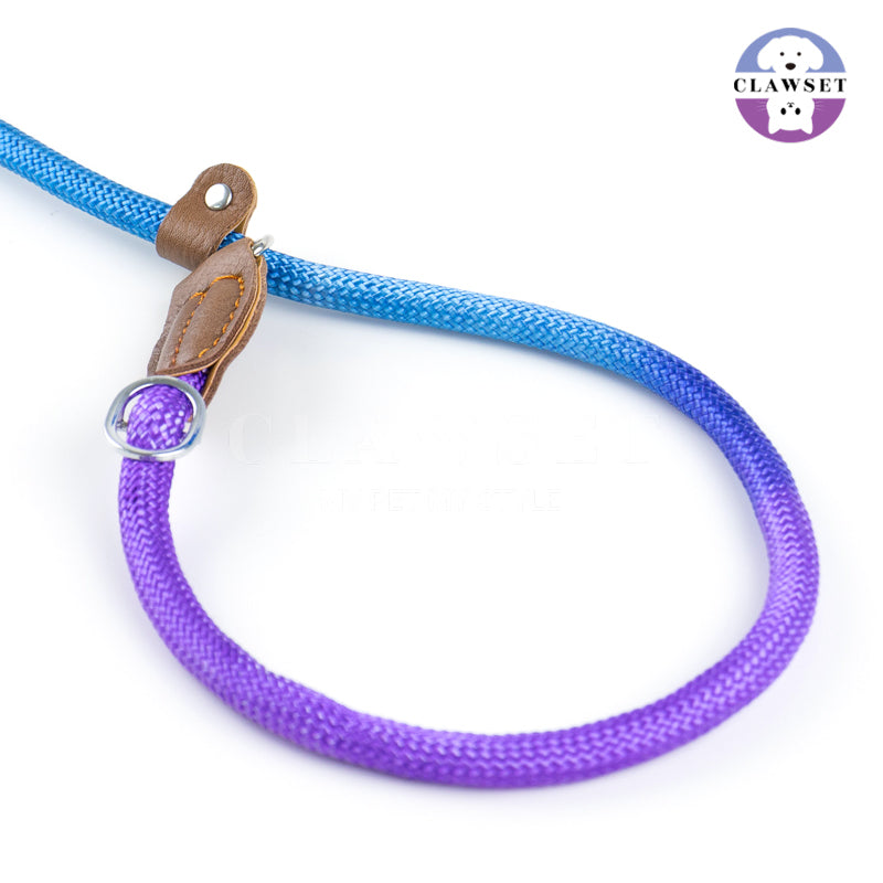 Clawset - Pet Accessories - Training Leash Gradient - Purple (Ungu) Blue (Biru)