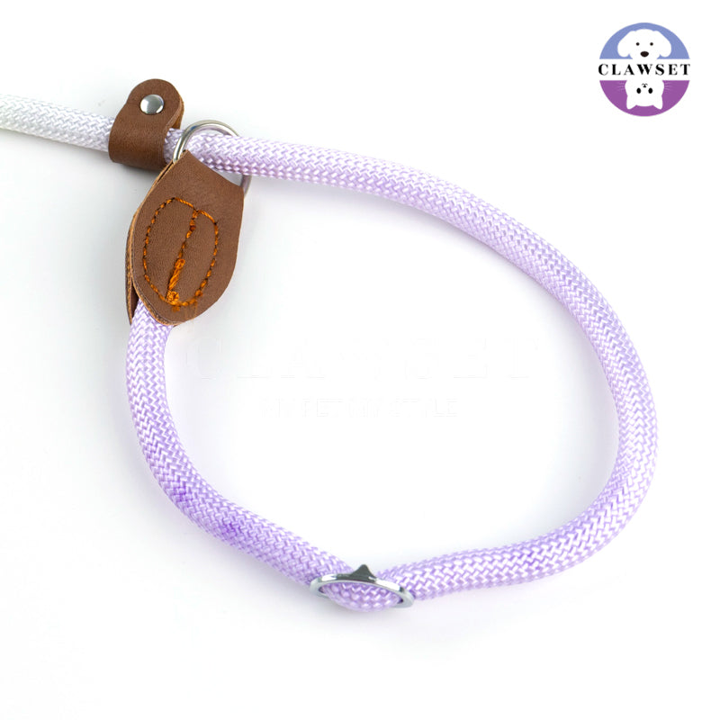 Clawset - Pet Accessories - Training Leash Gradient - Purple (Ungu) Green (Hijau)