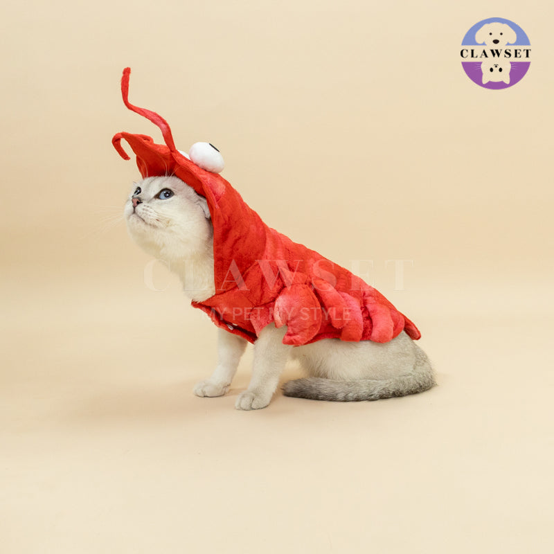 Clawset - Pet Fashion - Fancy Collection - Cool Lobster