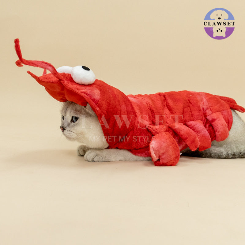 Clawset - Pet Fashion - Fancy Collection - Cool Lobster