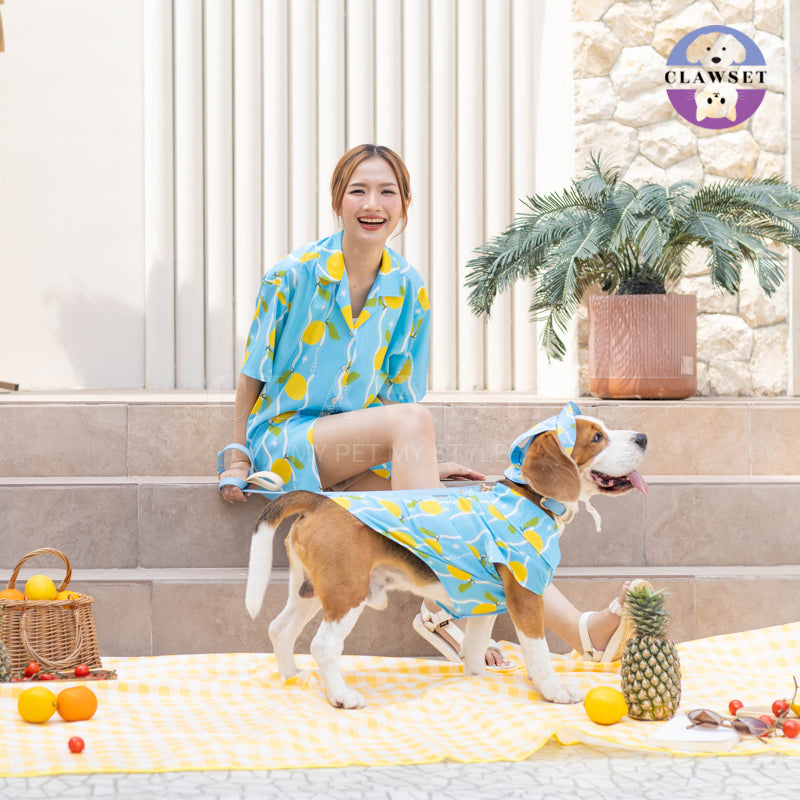 Clawset - Pet Hat - Italian Summer - Lemon Blue