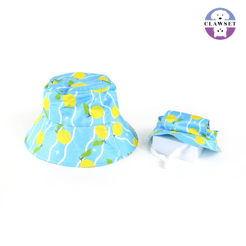 Clawset - Pet Hat - Italian Summer - Lemon Blue