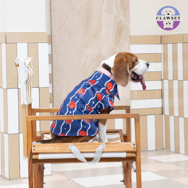 Clawset - Pet Hat - Italian Summer - Tomato Navy