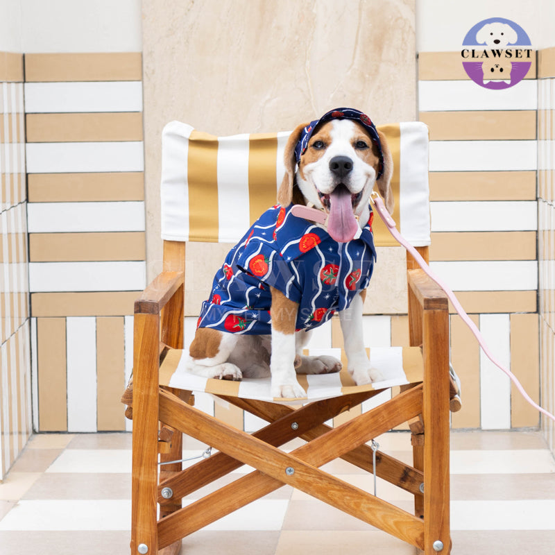 Clawset - Pet Hat - Italian Summer - Tomato Navy