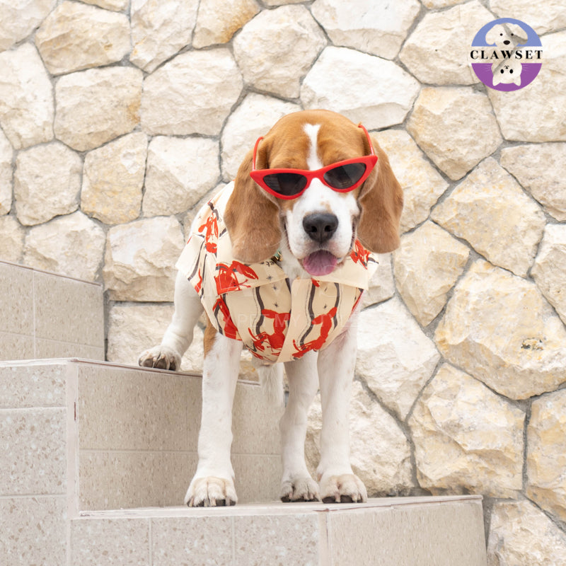 Clawset - Pet Shirt - Italian Summer - Lobster Cream