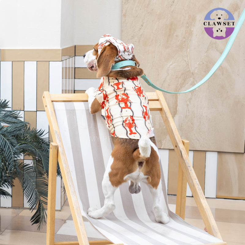 Clawset - Pet Shirt - Italian Summer - Lobster Cream