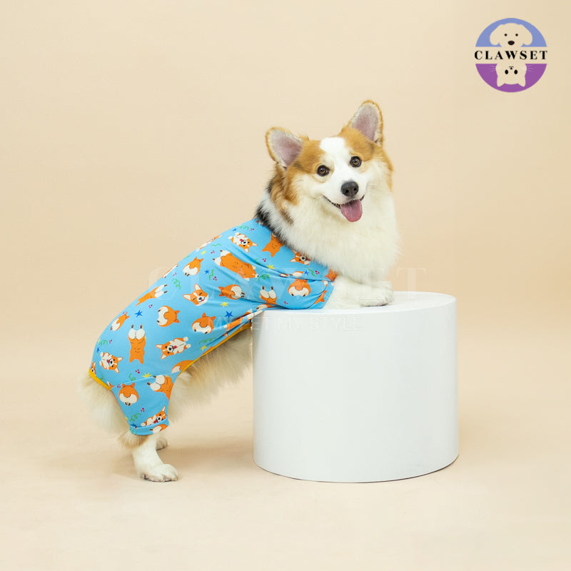 Clawset - Pet Fashion - Corgi Collection - Protection Suit - Blue Star (Biru)