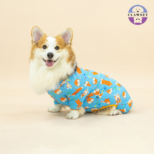Clawset - Pet Fashion - Corgi Collection - Protection Suit - Blue Star (Biru)