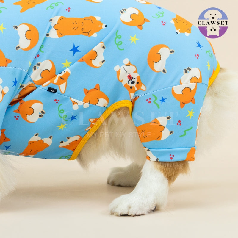 Clawset - Pet Fashion - Corgi Collection - Protection Suit - Blue Star (Biru)