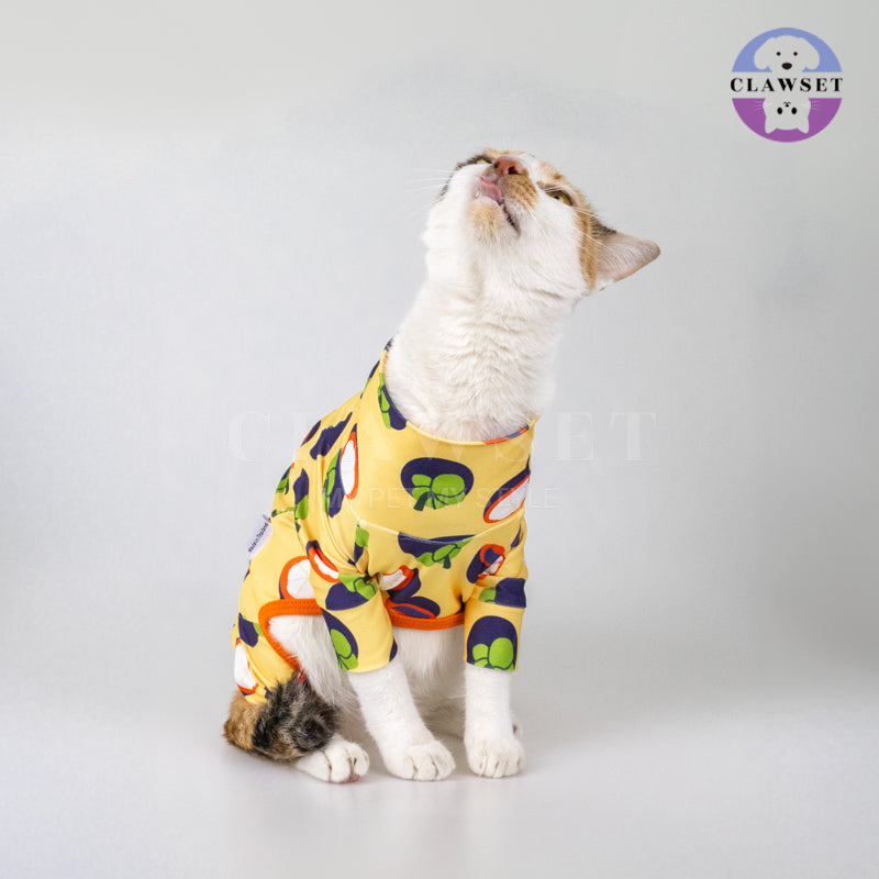 Clawset - Pet Fashion - Protection Suit - Fruity Collection - Mangosteen (Manggis)